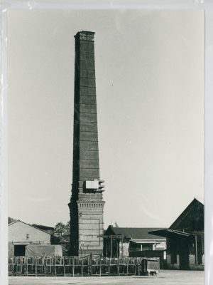 © Herbert Scheutzow